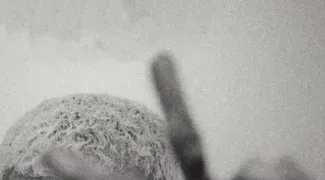 Affiche du film : Vermines