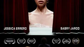 Affiche du film : La dernière danse