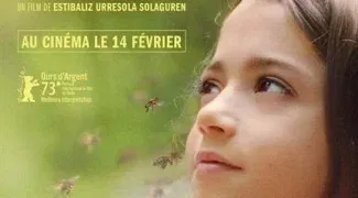 Affiche du film : 20 000 espèces d'abeilles