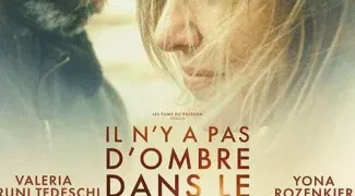 Affiche du film : Il n'y a pas d'ombre dans le désert