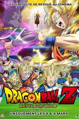 Affiche du film Dragon Ball Z : Battle of Gods (Extended Cut)