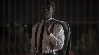 Affiche du film : Le cri des gardes