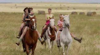 Affiche du film : The New West