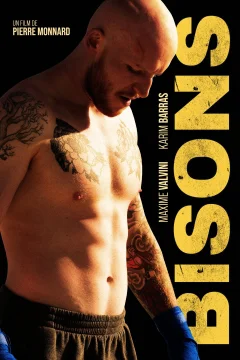 Affiche du film = Bisons