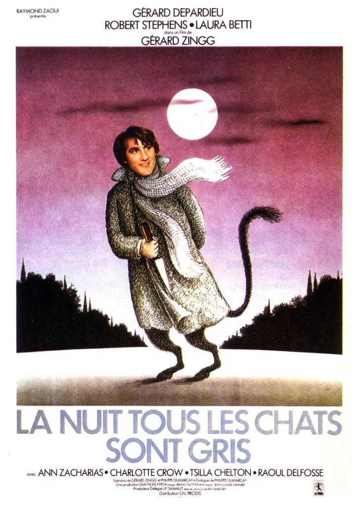 Affiche du film : La nuit, tous les chats sont gris