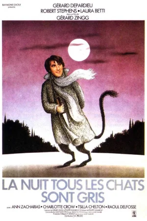 Affiche du film : La nuit, tous les chats sont gris