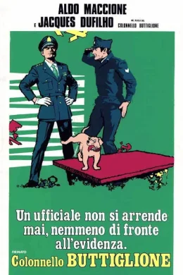 Affiche du film Si si mon colonel !