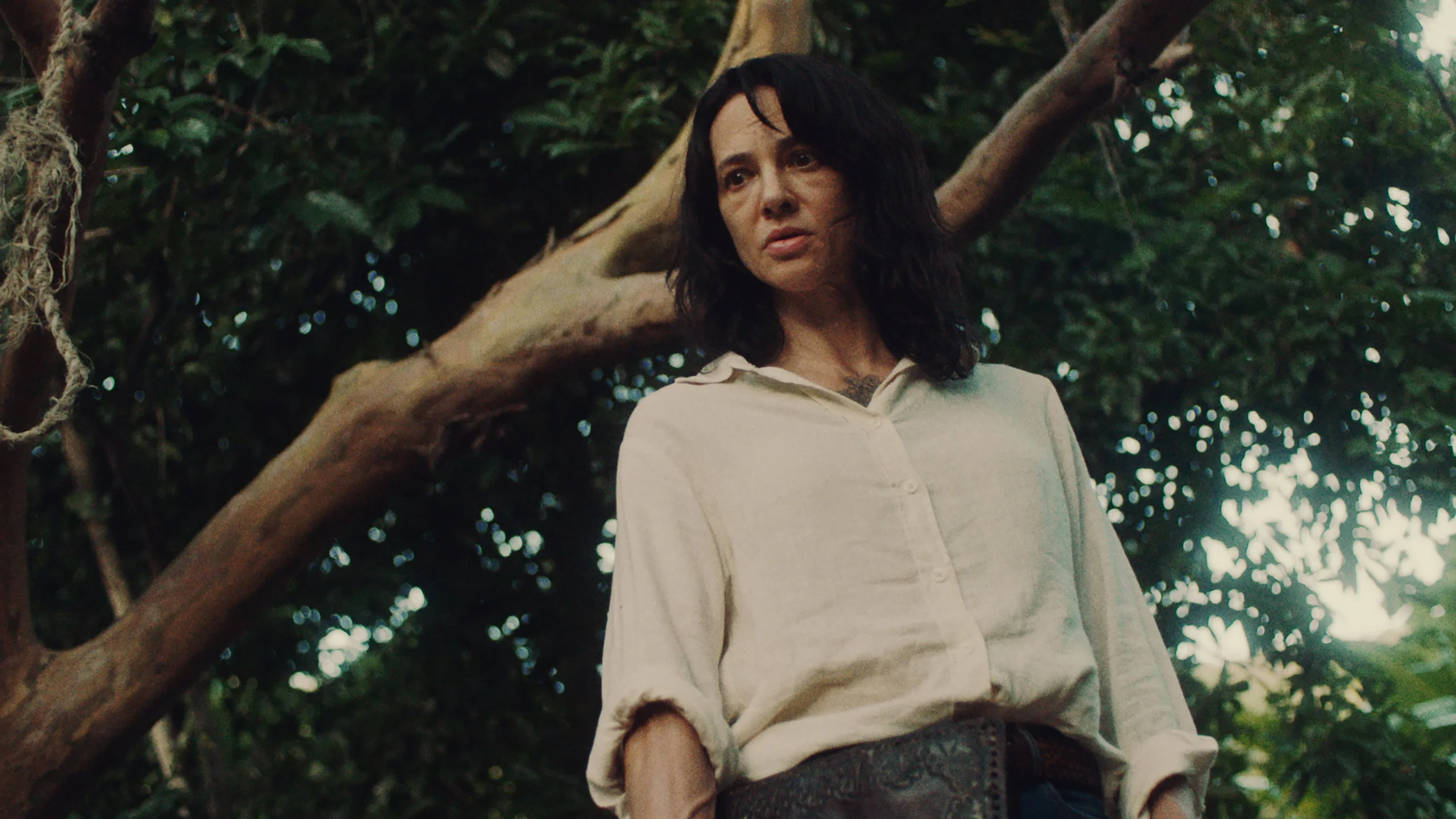 Photo 2 du film : Death Has No Master