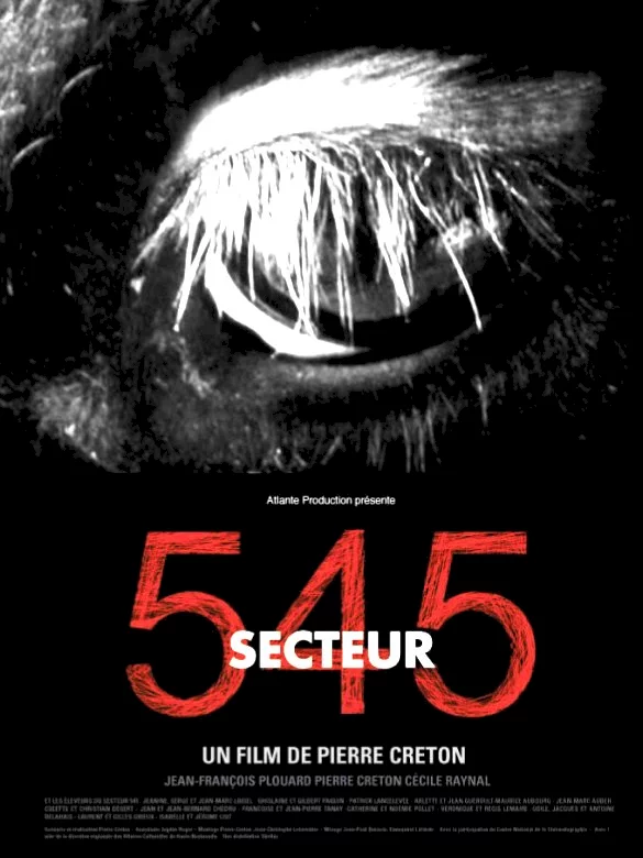 Affiche du film : Secteur 545