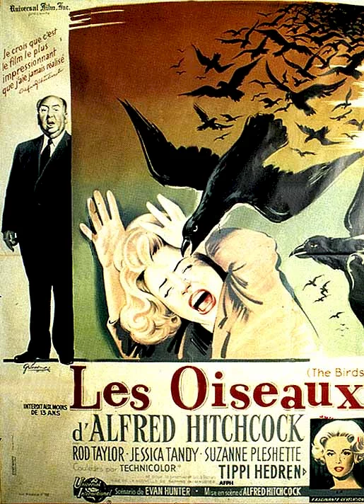 Affiche du film : Les oiseaux