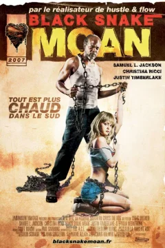 Affiche du film Black snake moan