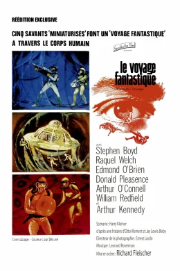 Affiche du film Le Voyage fantastique