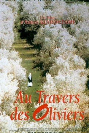 Affiche du film : Au travers des oliviers